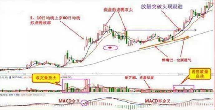 老鴨頭實戰(zhàn)圖形.jpg