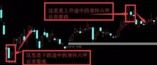 身懷六甲形態.jpg