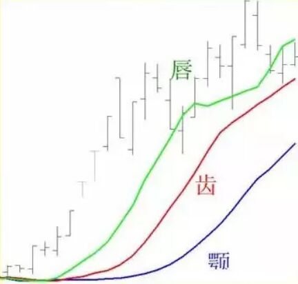 鱷魚線.jpg