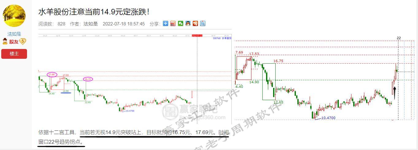 水羊股份